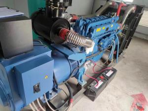 250千瓦斯太尔无刷发电机